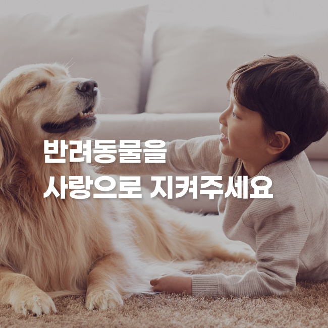 경주동물사랑보호센터